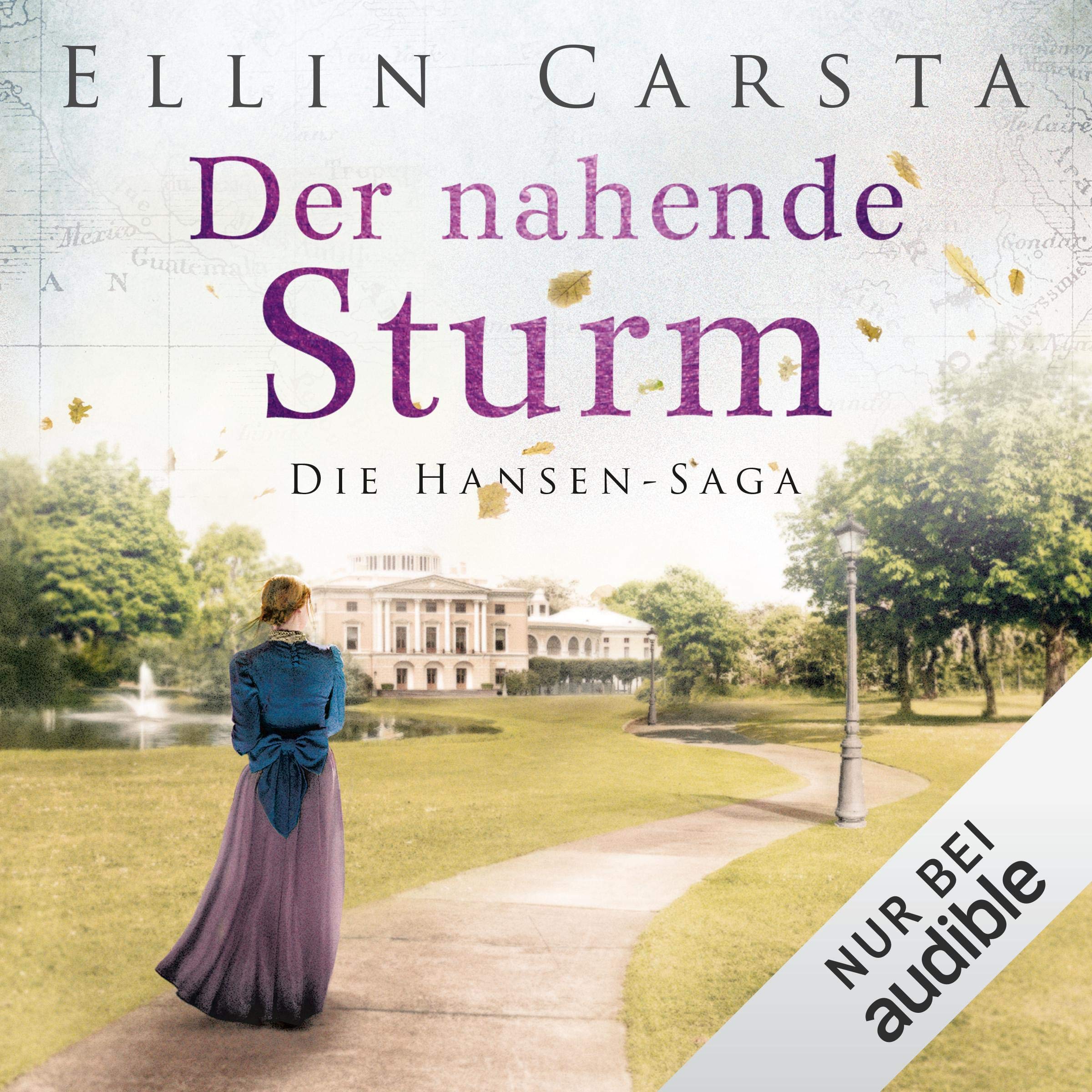 Cover art for Der nahende Sturm