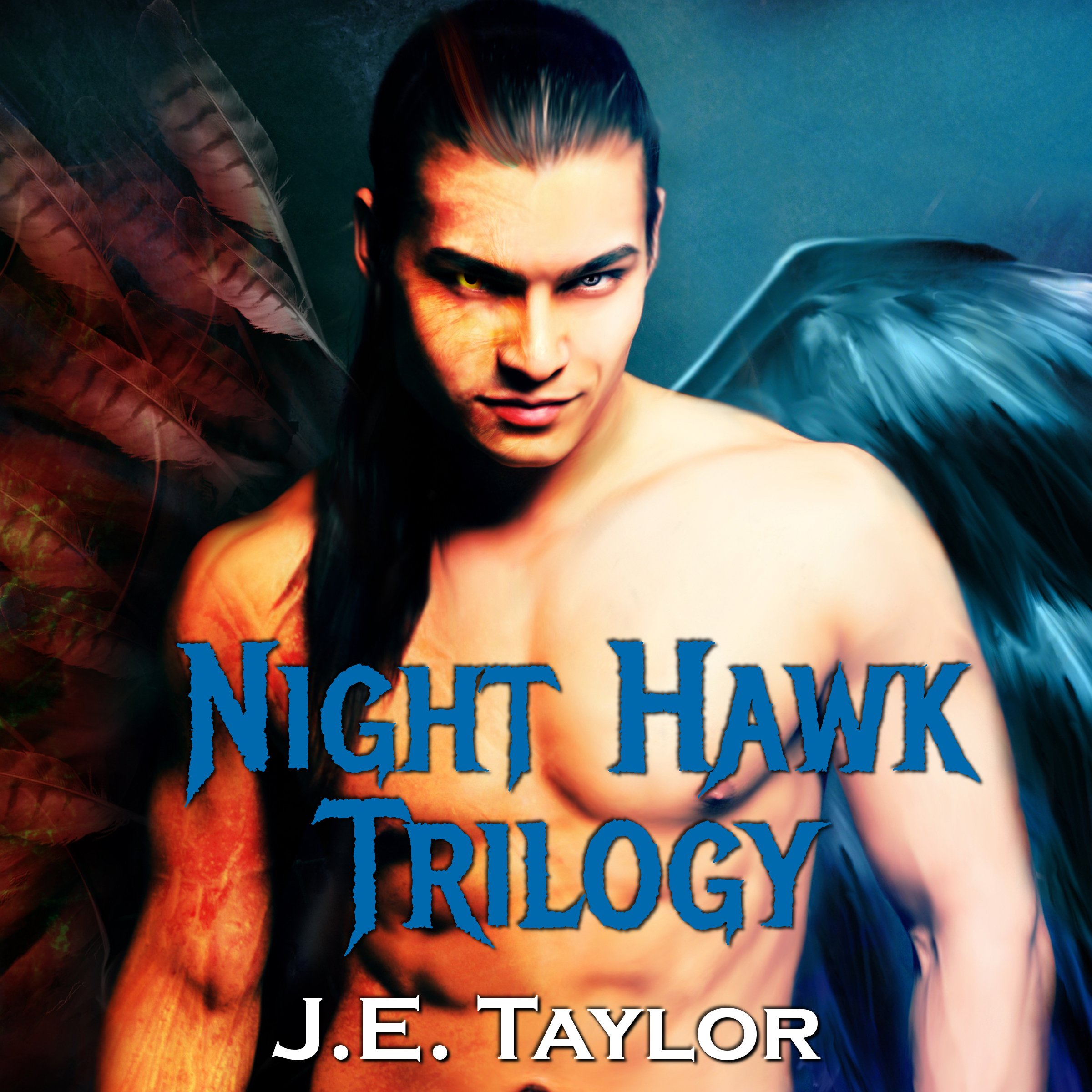 Cover art for Night Hawk Trilogy