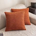 Throw Pillow Covers 18x18 Inch Set of 2 Decorative Velvet Square Spring Farmhouse Pillow Covers for Sofa Couch Cushion Bedroom Home Decor Cream White