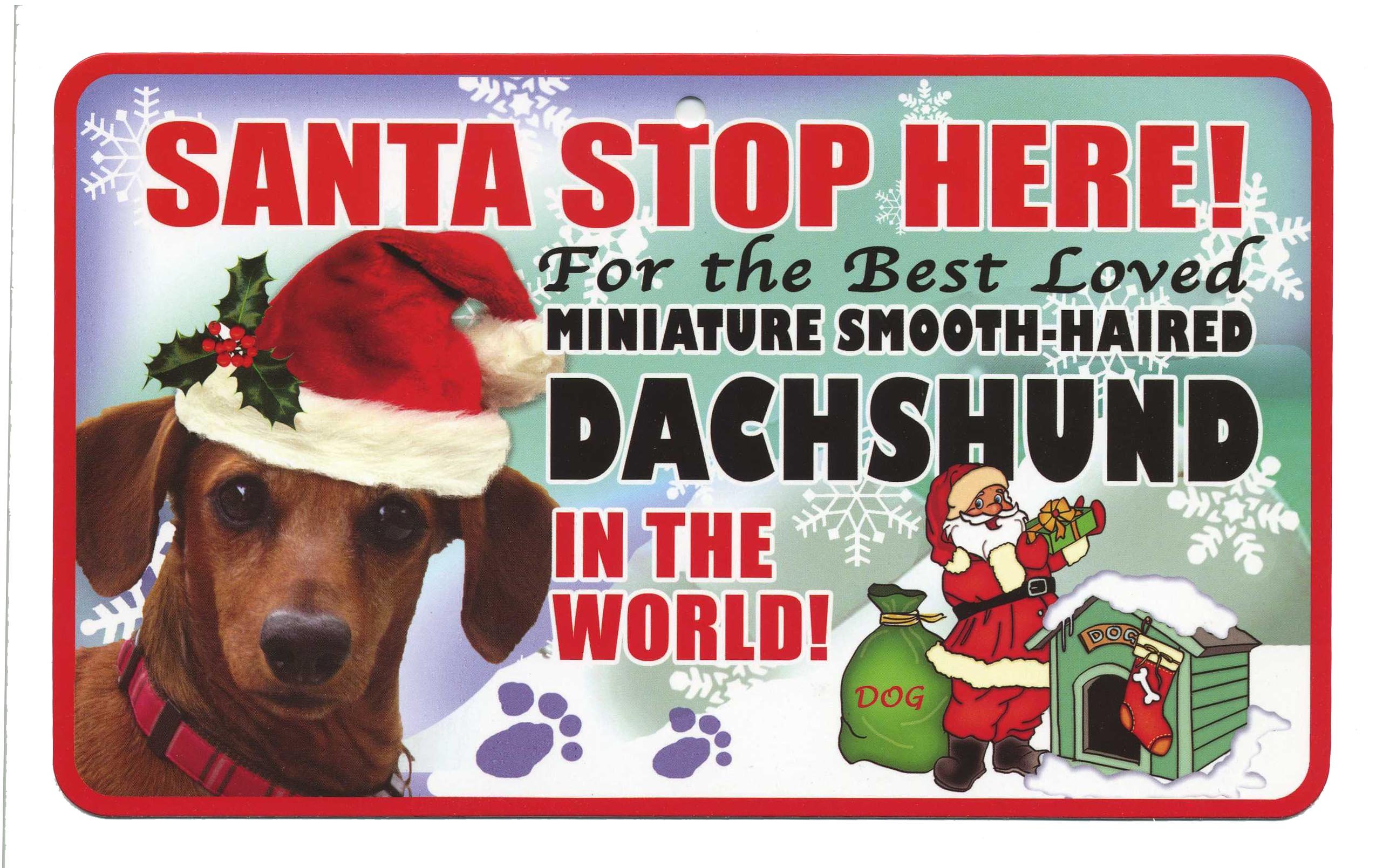 DACHSHUND (M SMOOTH HAIRED) SANTA STOP H