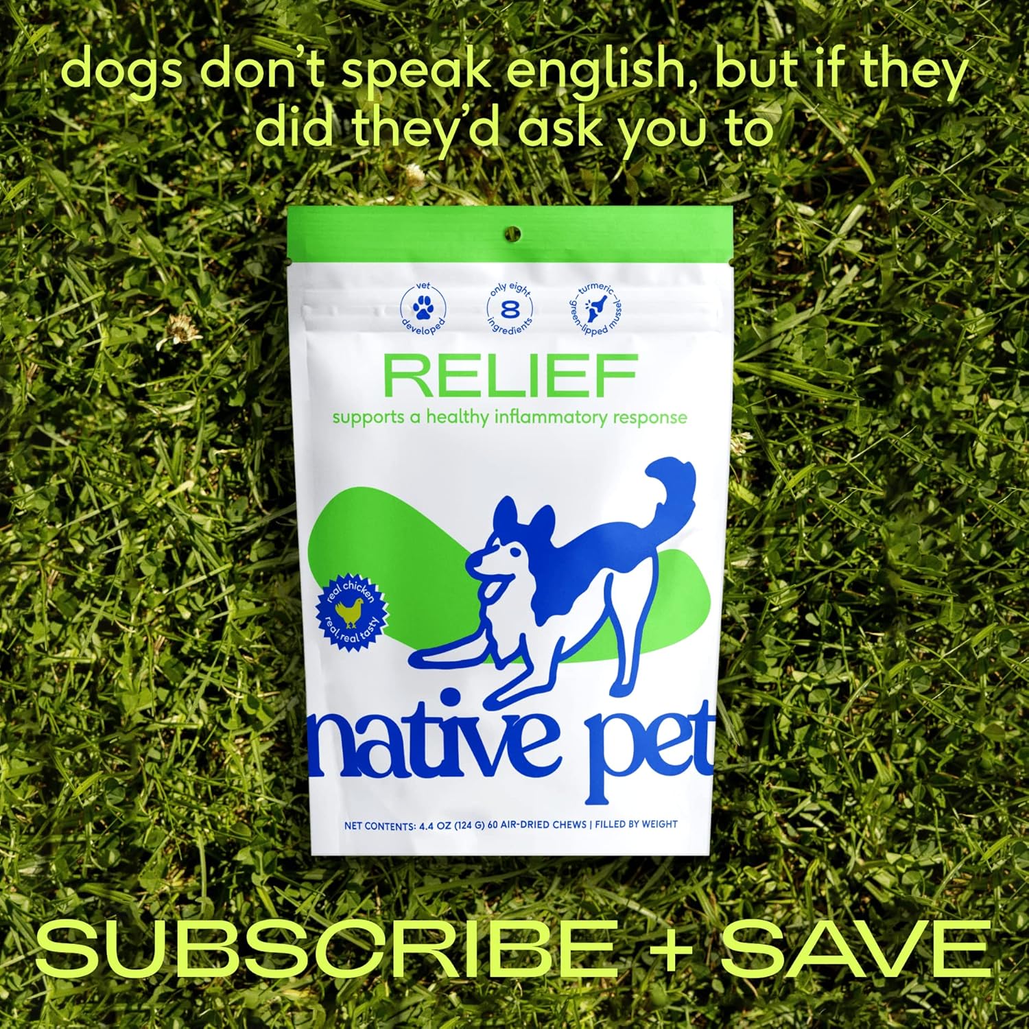 Buy Native Pet Relief Anti Inflammatory for Dogs Turmeric