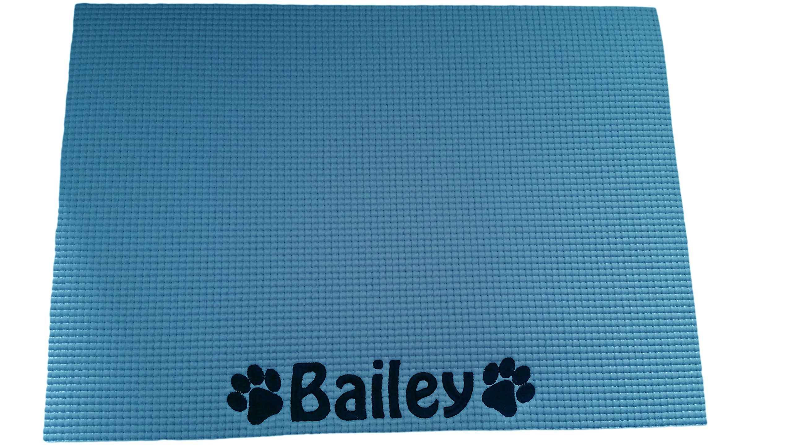 Personalised Placemat/Place Mat for Dog, Cat or Pet - Light Blue