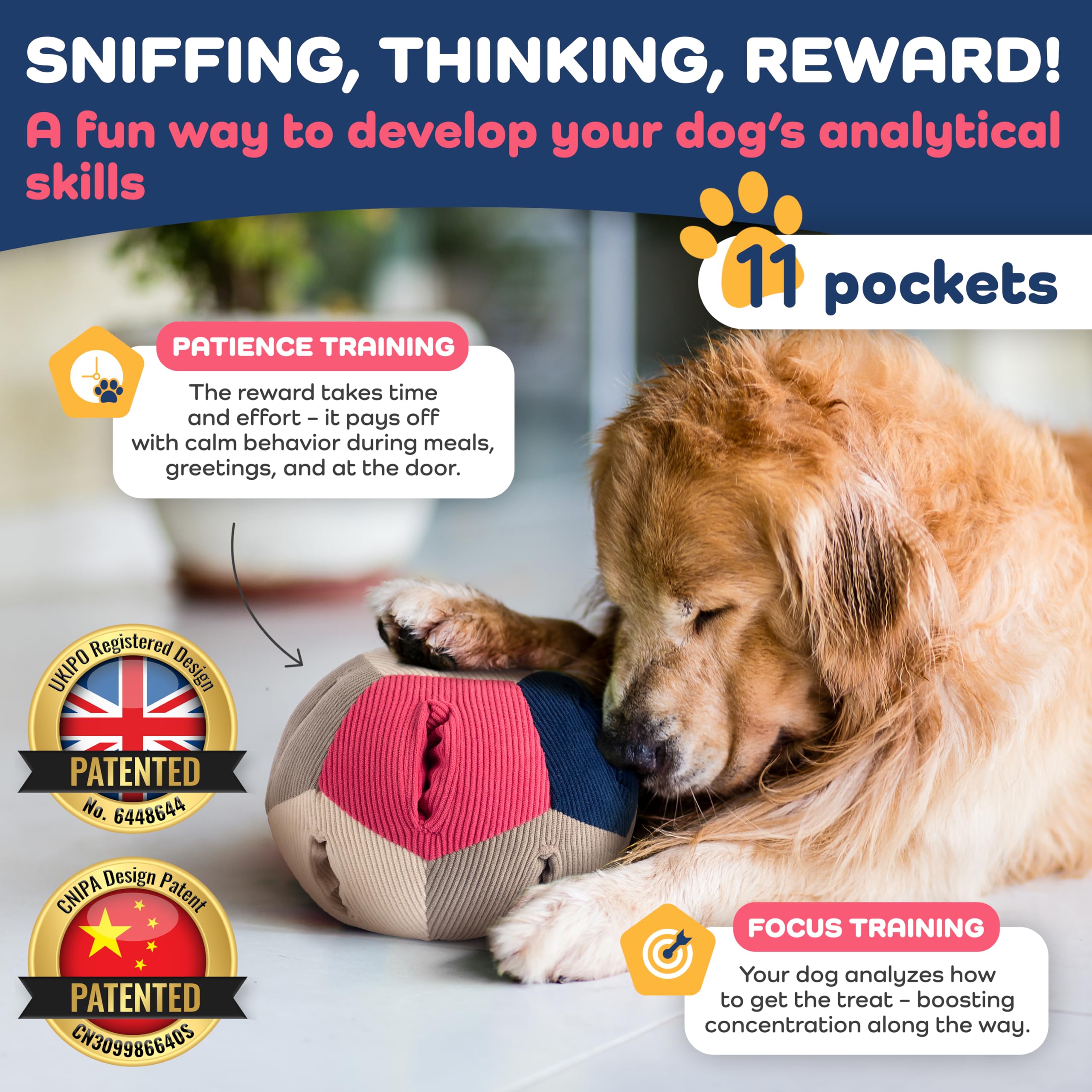 Balle à renifler pour chien - Jouet intelligent avec 4 niveaux de difficulté - Jouet interactif pour friandises et développement de l'intelligence - Pour petits et grands chiens