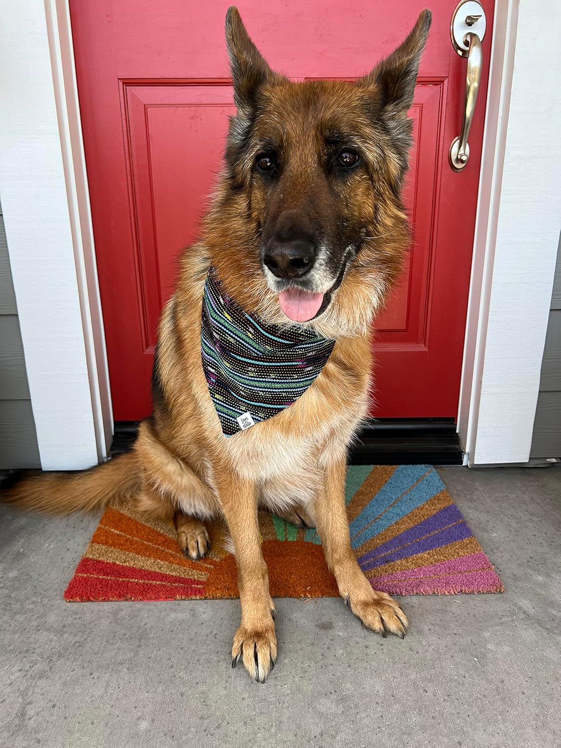 Sam & Nala Dog Bandana, Handmade in Guatemala for Large, Medium and Small Dogs, Each Piece is Uniquely Woven Like Your Pup, Double-Layered Custom-Cut, Washing Machine Safe (Deep Sea Diving, L)