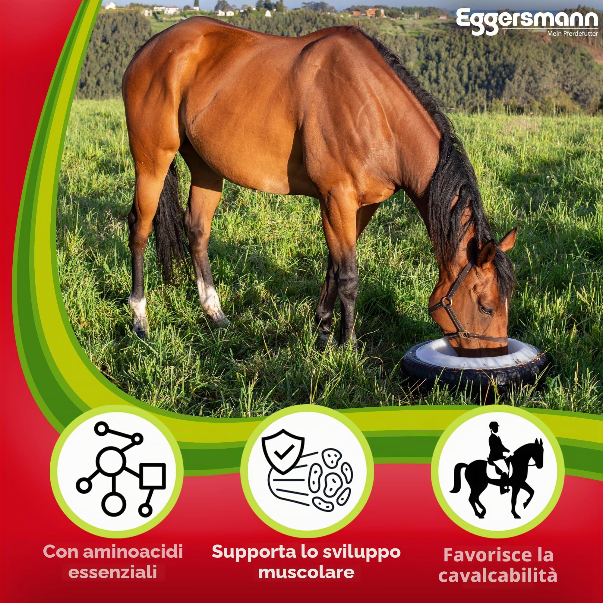 Eggersmann Mein Pferdefutter Aminoral Professionale 6 kg – Concentrato con aminoacidi Essenziali – Supporta la Costruzione Muscolare, la ritabilità e la Resistenza – Mangime complementare Ideale per