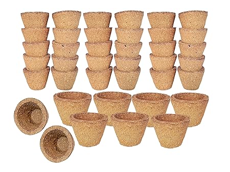 mayuram Sambrani cup/Cow Dung panchgavya Dhuni cups 100 pcs(Empty)