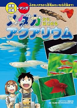 【中古】 夏・体験物語/ワニブックス/畑嶺明 2026132081.jpg?1694482044