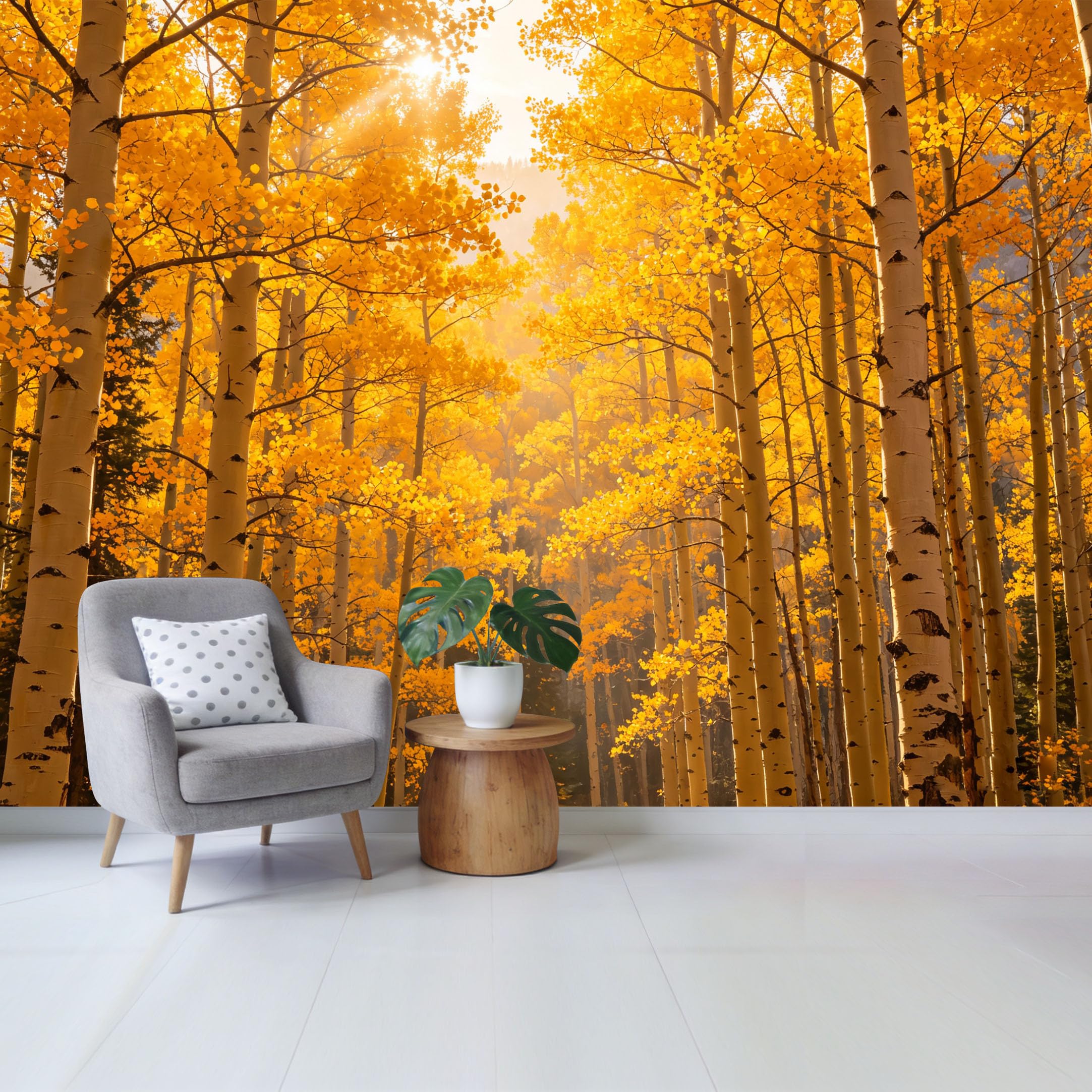 Qzlithotic Yq2605250704 Custom Size Wall Mural Golden Autumn Aspen Forest Sunlight Landscape Botanical Selfadhesive Wall Fabric Removable Wallpaper For Home Office Decor