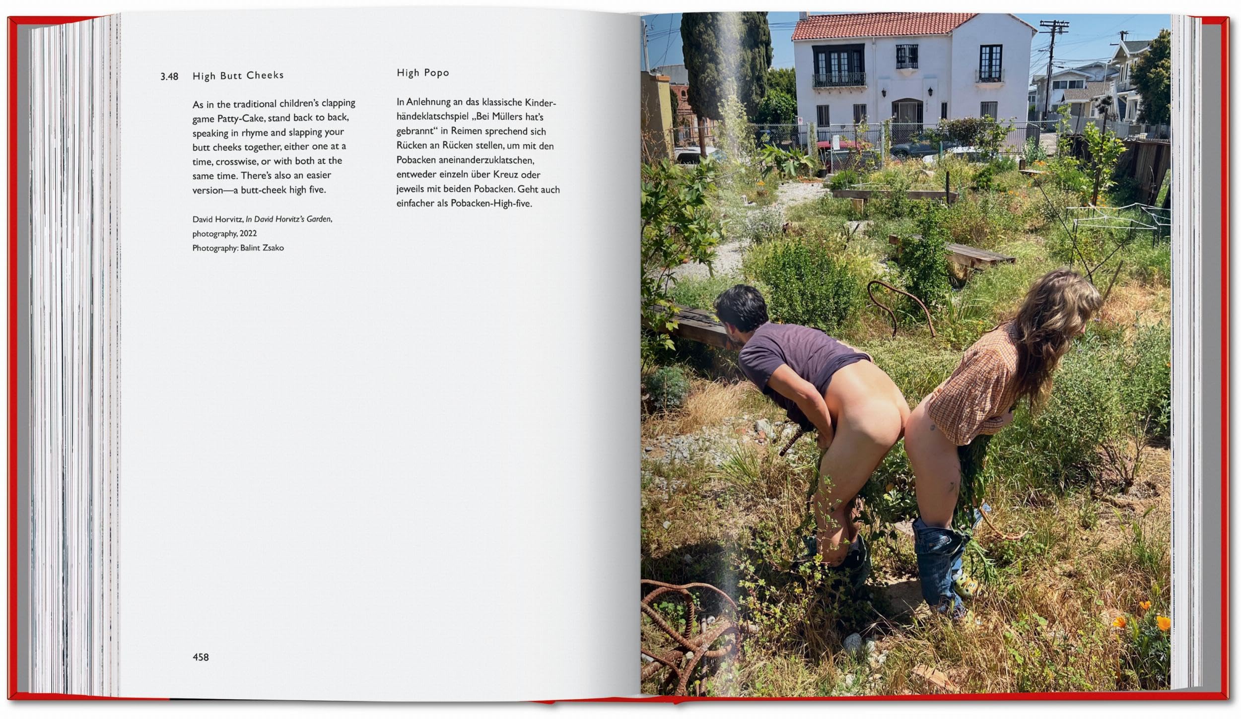 Carsten Höller. Book of Games (Varia)