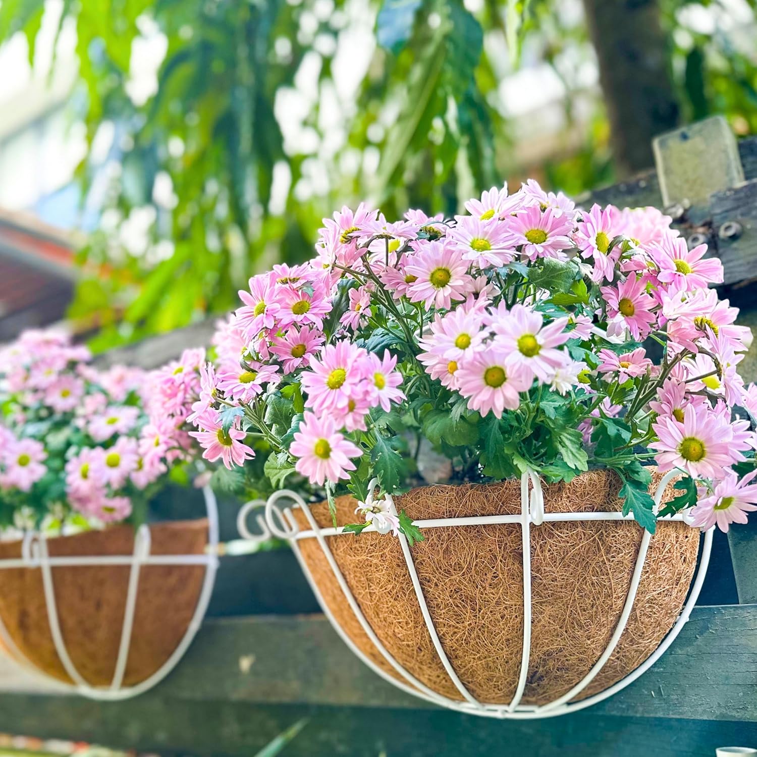 Shoplala Wall Hanging Planter for Outdoor (4 Pack, 14 Inch) White Metal Wall Mounted Flower Basket with Coco Liner Fence Railing Plant Pots Holder Balcony Deck Porch Modern Garden Indoor Outside Decor