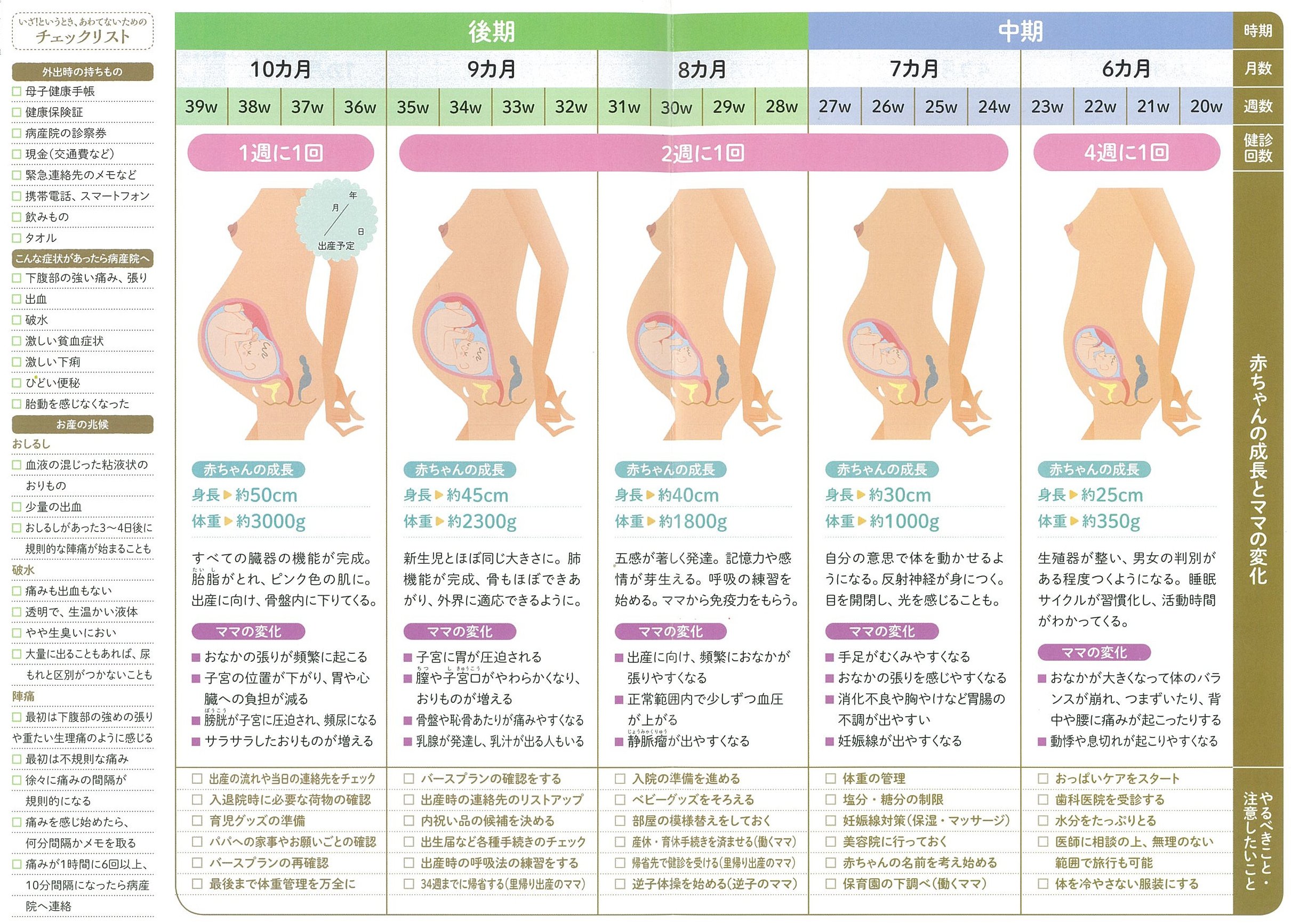 この1冊であんしん はじめての妊娠 出産事典 竹内正人 本 通販 Amazon