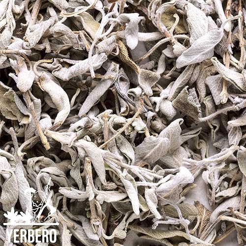 Miniatura 3 de Clúster de Salvia Blanca Premium 4oz (114g)  Hoja De Salvia Blanca Entera  Salvia officinalis  Santificación, Purificación, Metafísica, Wicca.