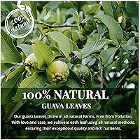 Vista 3 de Hoja de guayaba Secas de 10.4 onzas, hojas secas de guayaba, hojas naturales, hoja de guayaba seca, té de hojas aromáticas, sin OMG, sin cafeína