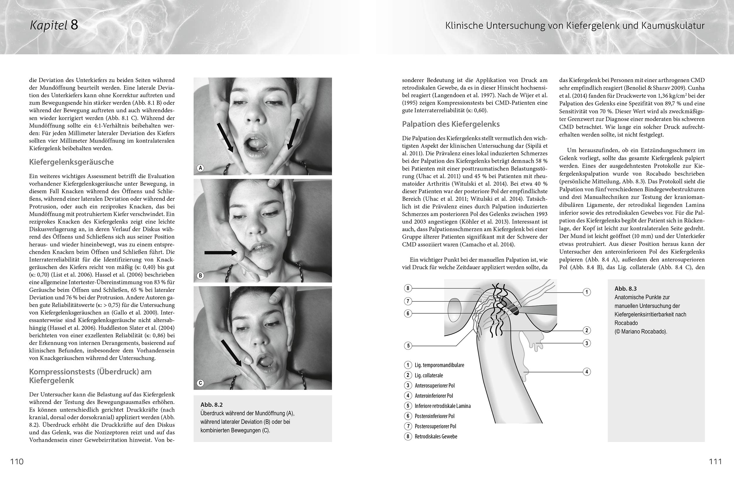 Craniomandibuläre Dysfunktion (CMD): Untersuchung – Manualtherapie – Neurowissenschaftliche Behandlungsansätze – Dry Needling