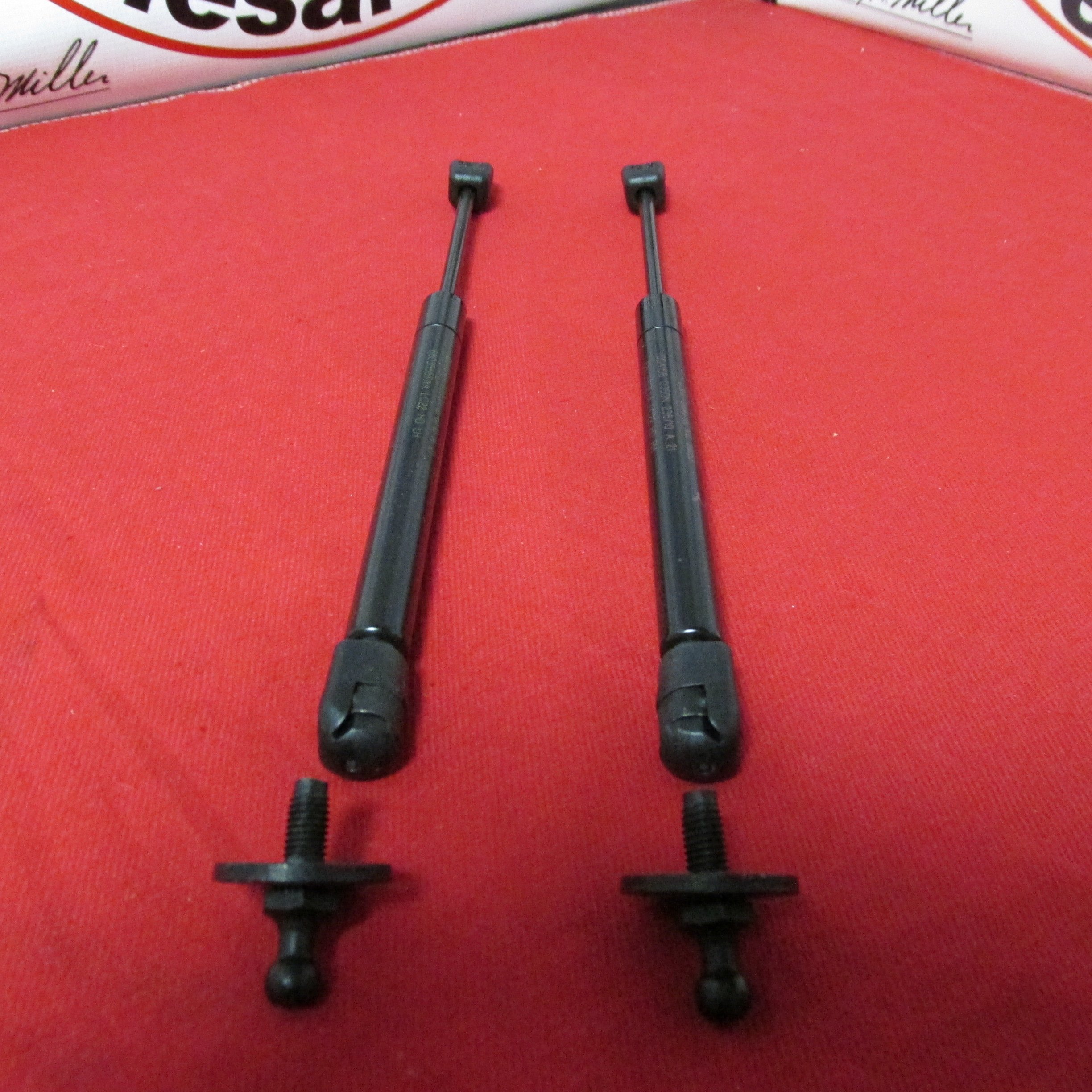 MoparDodge Challenger Charger Magnum Chrysler 300 Hood Gas Struts OEM