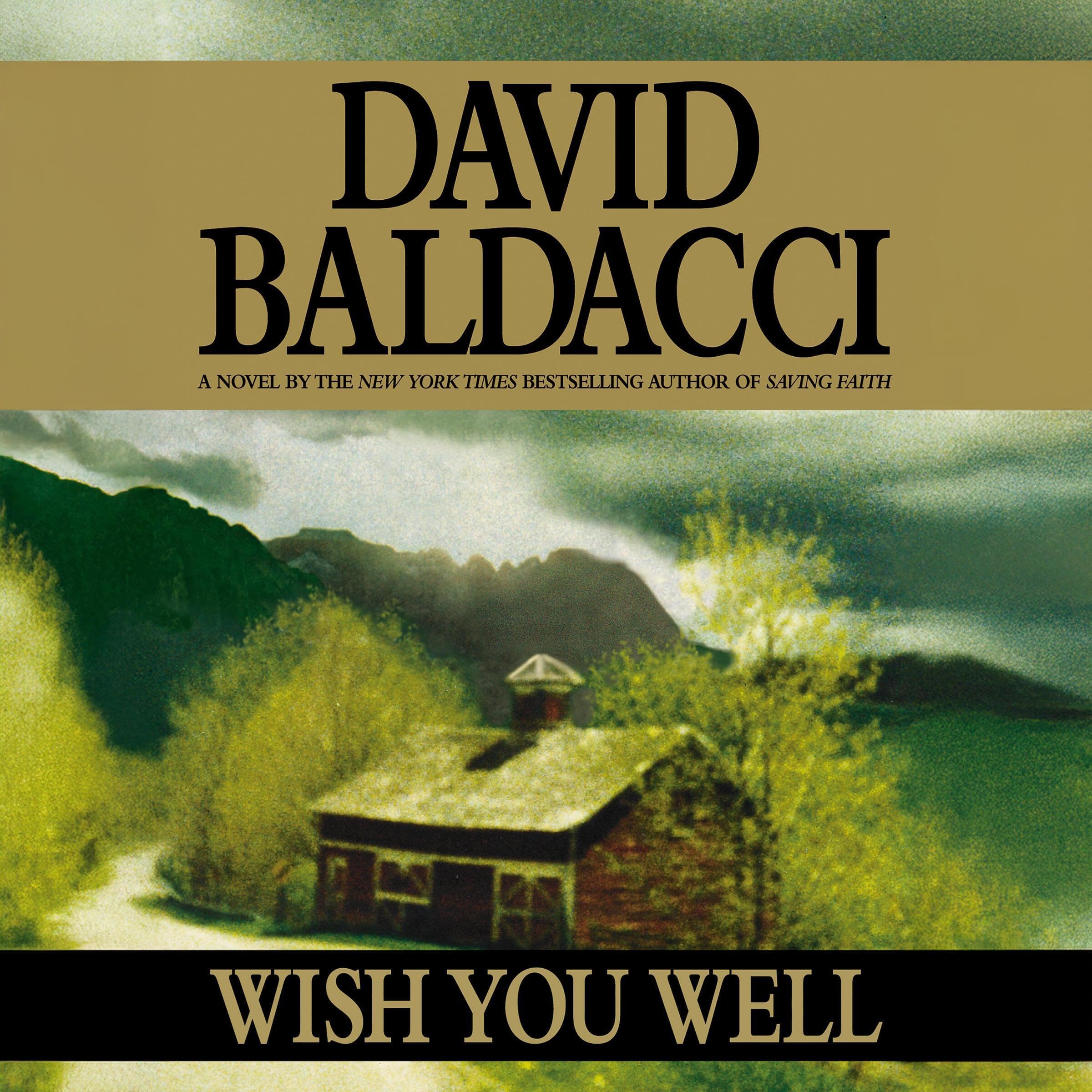 Cover art for Wish You Well