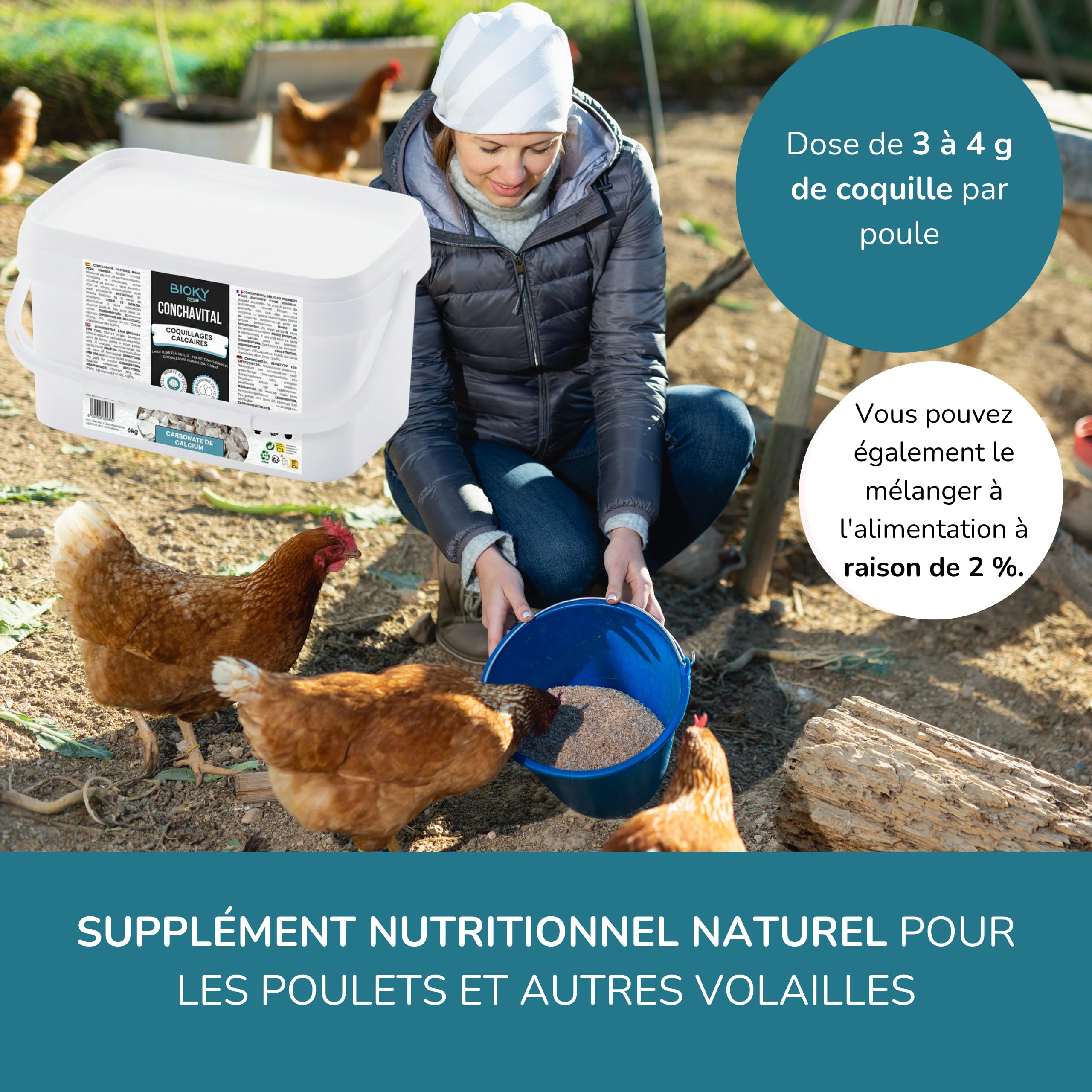 ConchaVital 6 kg - Calcium pour Poules pondeuses et Autres Oiseaux - Coquille d'huître - Nourriture + 12 minéraux - Améliore la Qualité de l'œuf, Corrige Les Carences Nutritionnelles