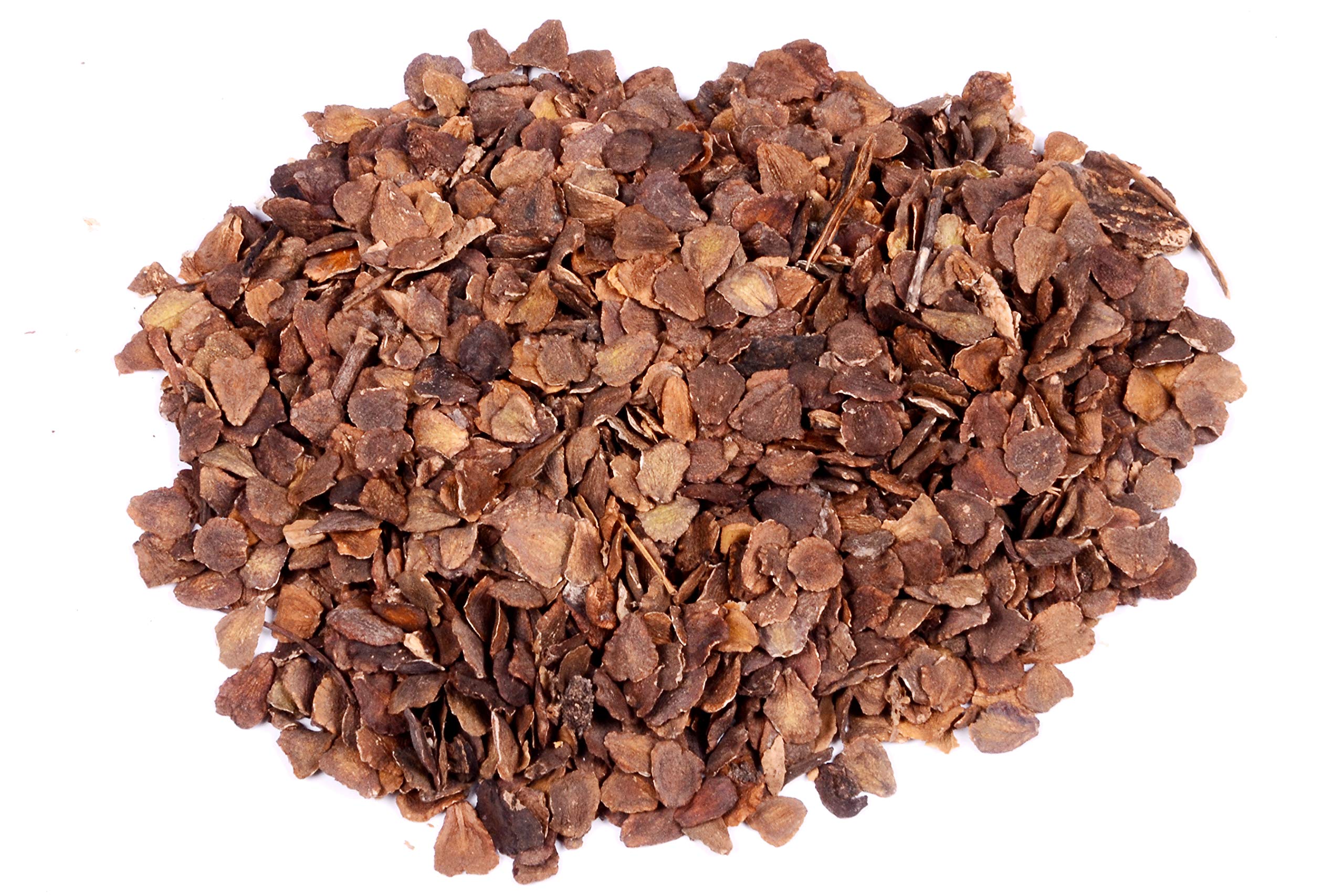 RK Seeds - Jacaranda - blue jacaranda tree seeds - Jacaranda mimosifolia seeds - black poui - the fern tree seeds – Ornamental flowering tree seeds - 100 gm (B07NK4WZMV) Amazon Price History, Amazon Price Tracker