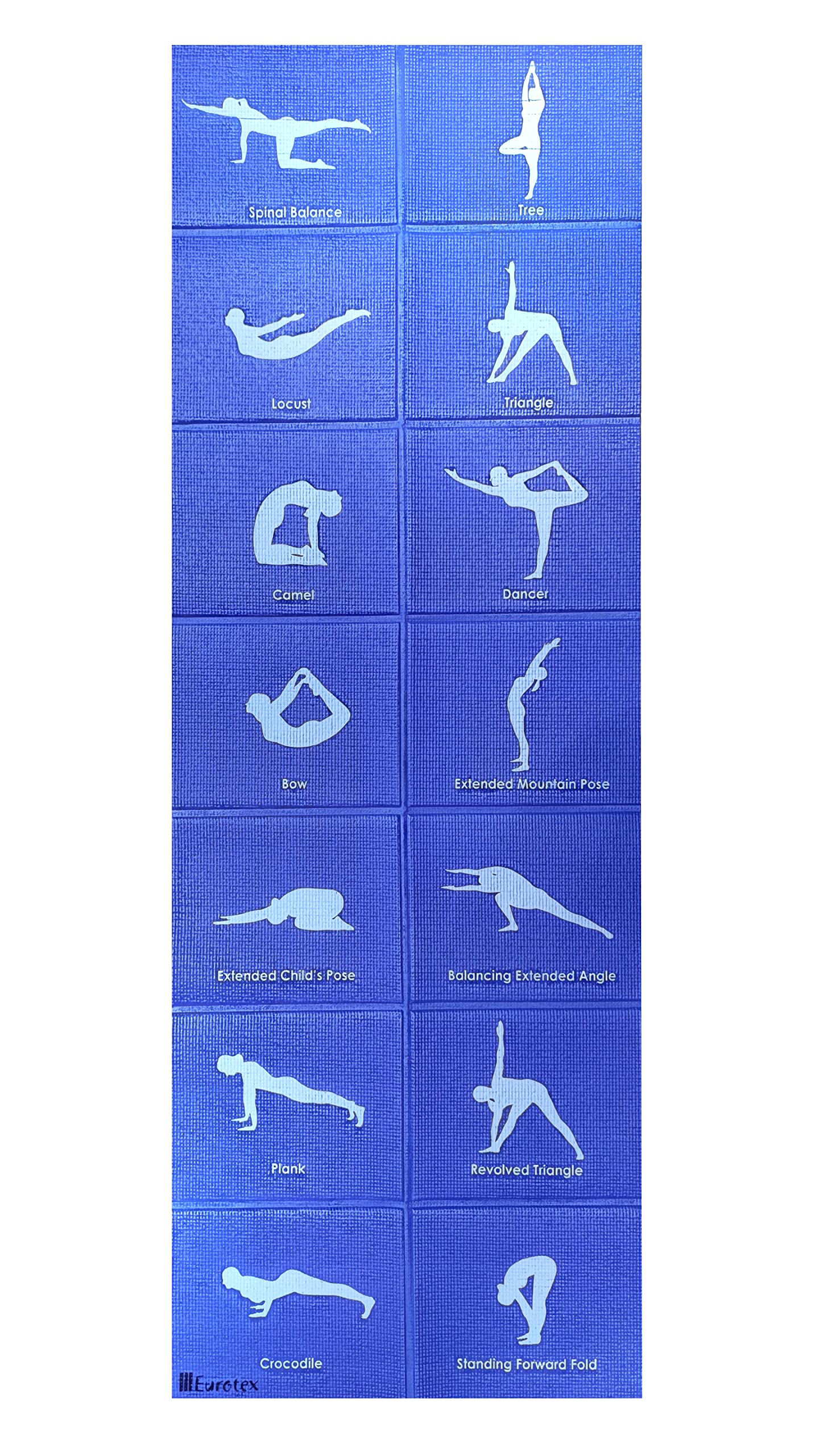 Eurotex Travel Yoga Mat Non Slip Foldable Portable Gym Mat Fitness Training Pilates Exercise Mat Workout for Women Men with Carry Bag | Yoga Mat With Pictures of Asanas (Blue)-image-38