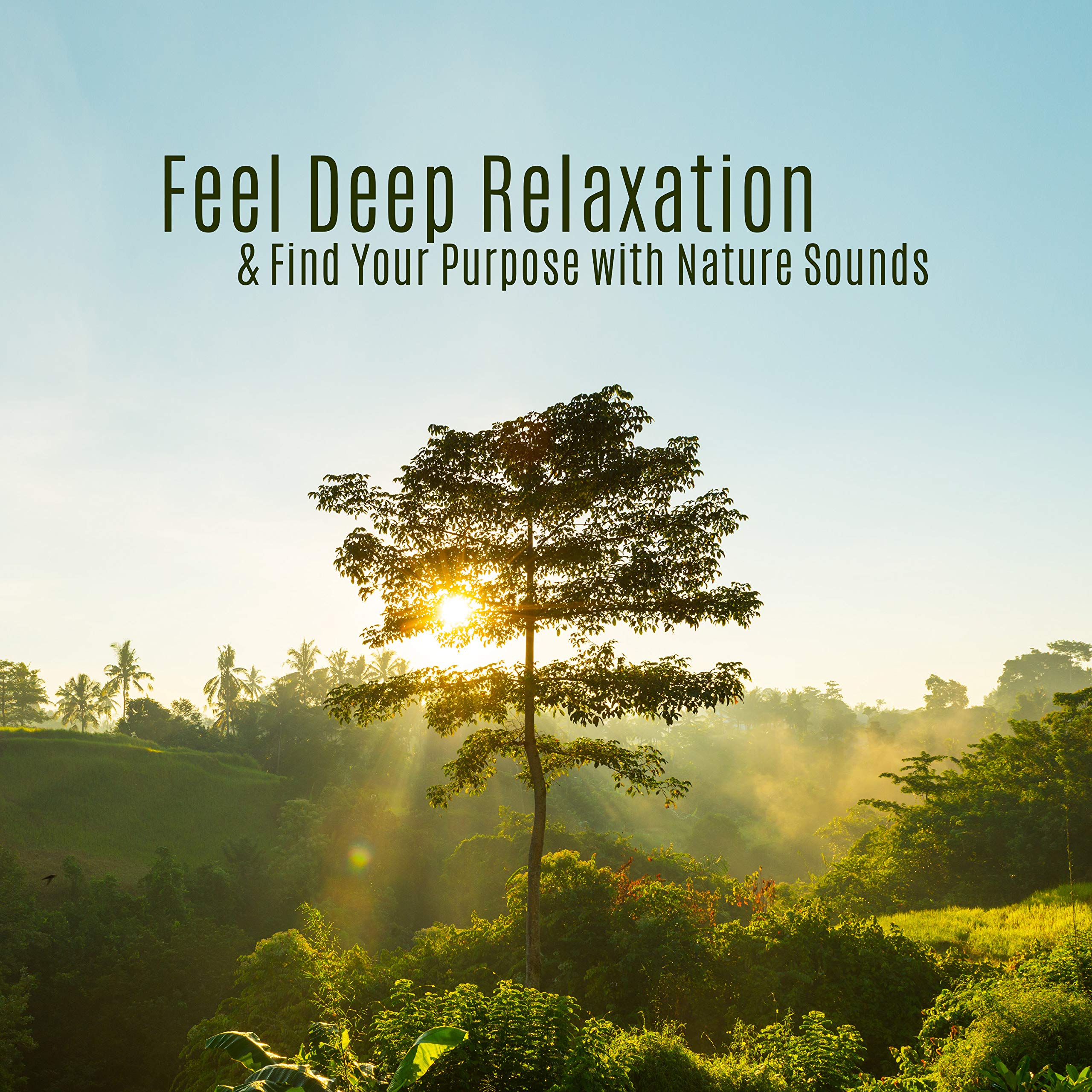 New Age Spiritual Musician