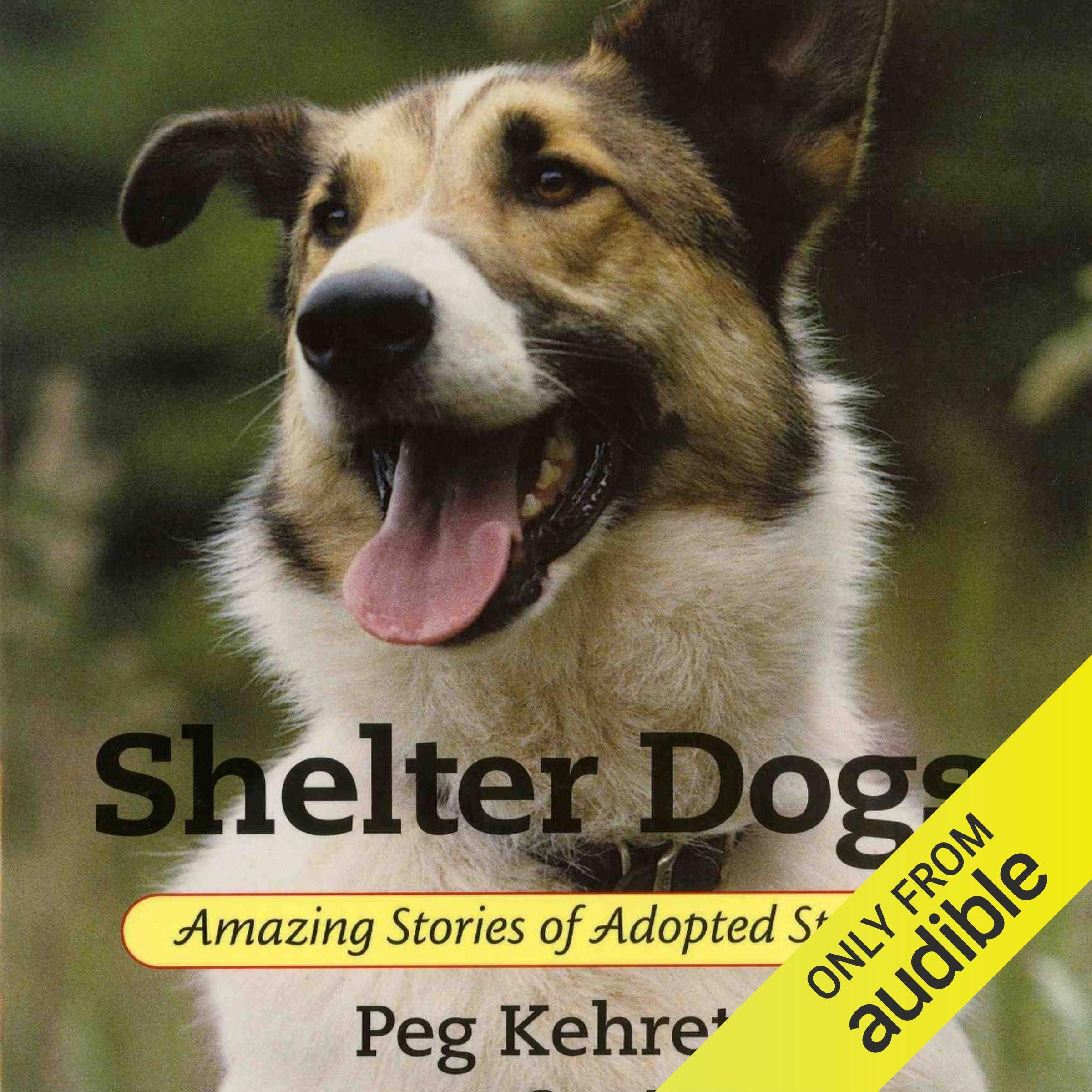 Cover art for Shelter Dogs
