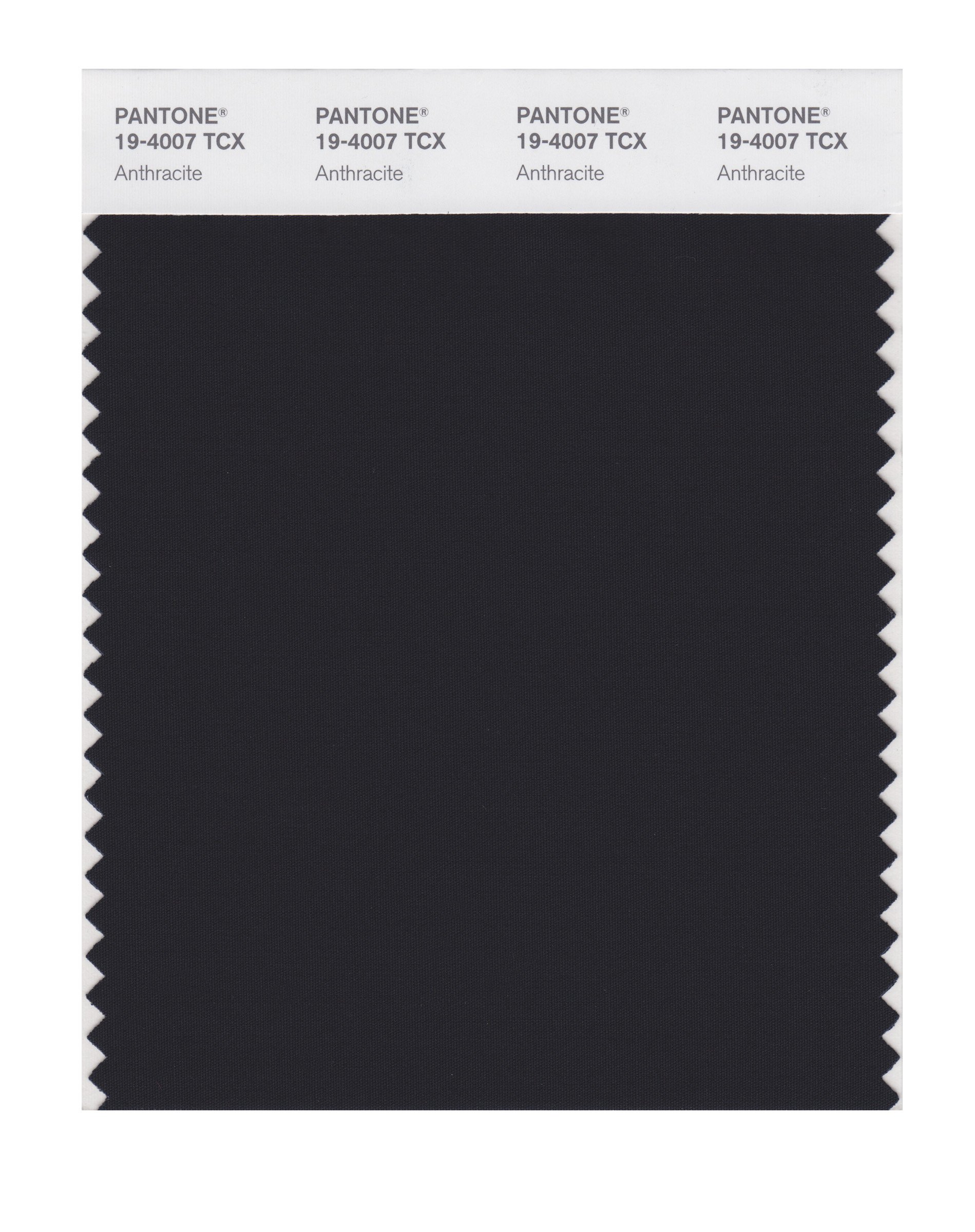PANTONE SMART 19-4007X Color Swatch Card, Anthracite
