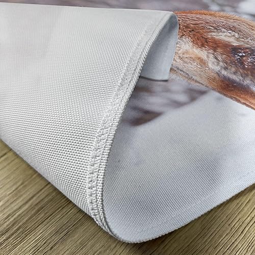 Miniatura 404 de Ambesonne Juego de 4 manteles individuales amarillos y azules, diseño de flores de primavera, flores vibrantes, manteles individuales de tela Azul