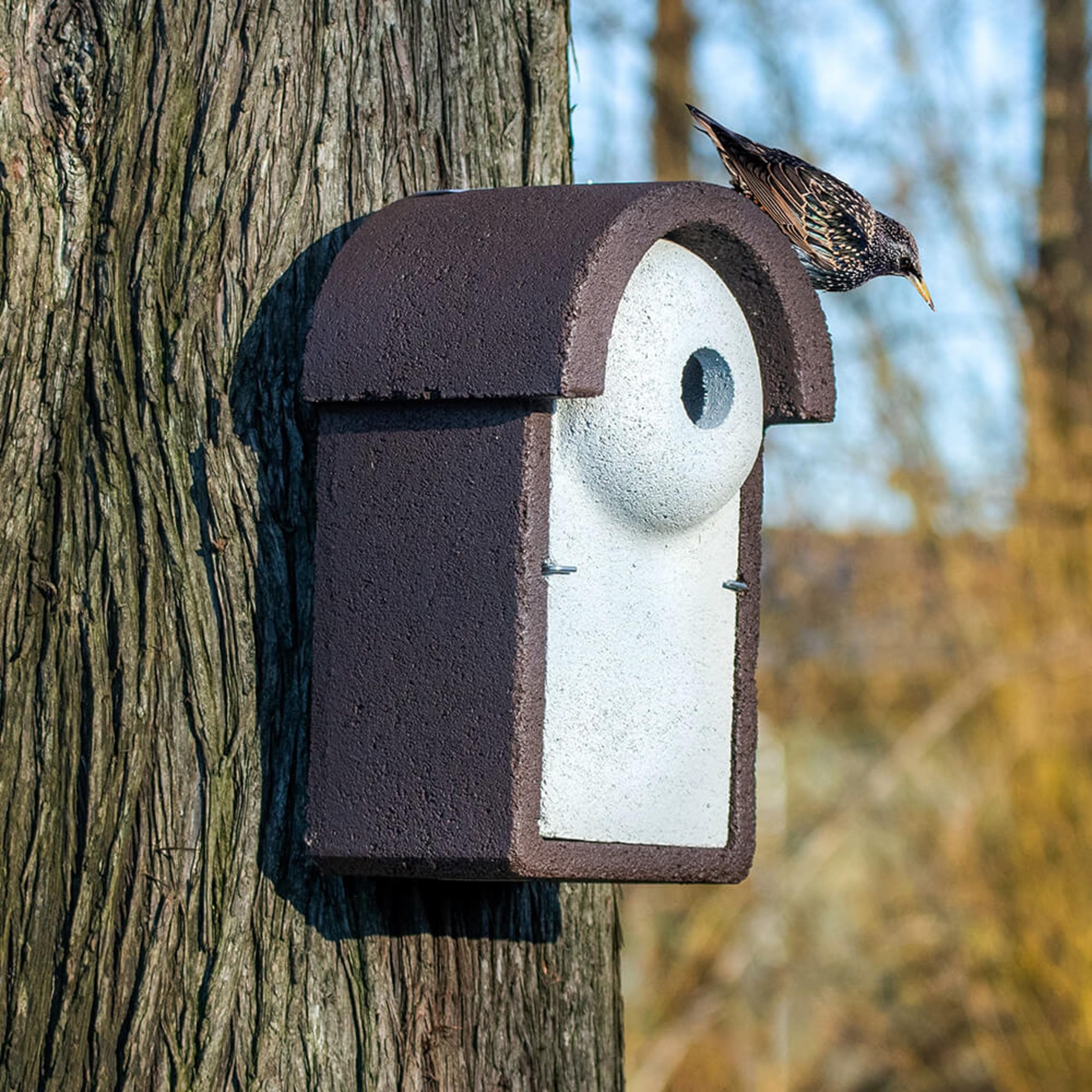 CJ Wildlife Nistkasten – Nistkasten für Vögel für draußen wetterfest – extra großer Woodstone® Nistkasten für Stare – Holzbeton – 10 Jahre Garantie