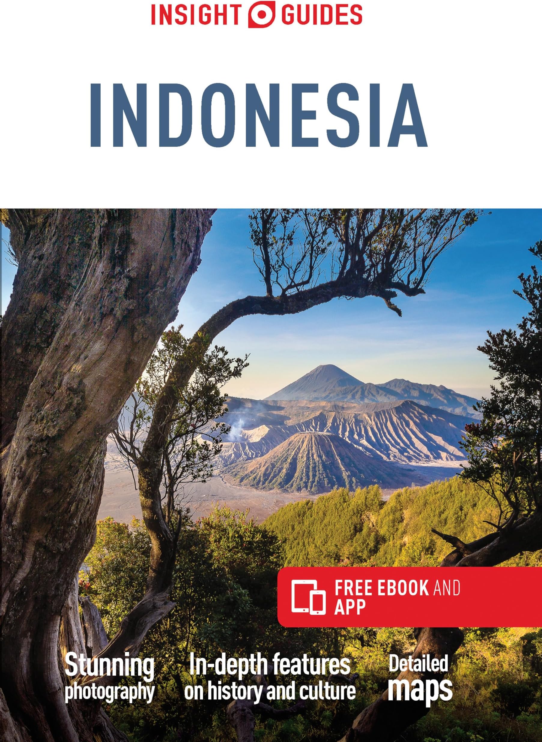 Insight Guides Indonesia (Travel Guide with Free eBook) (Insight Guides Main Series)