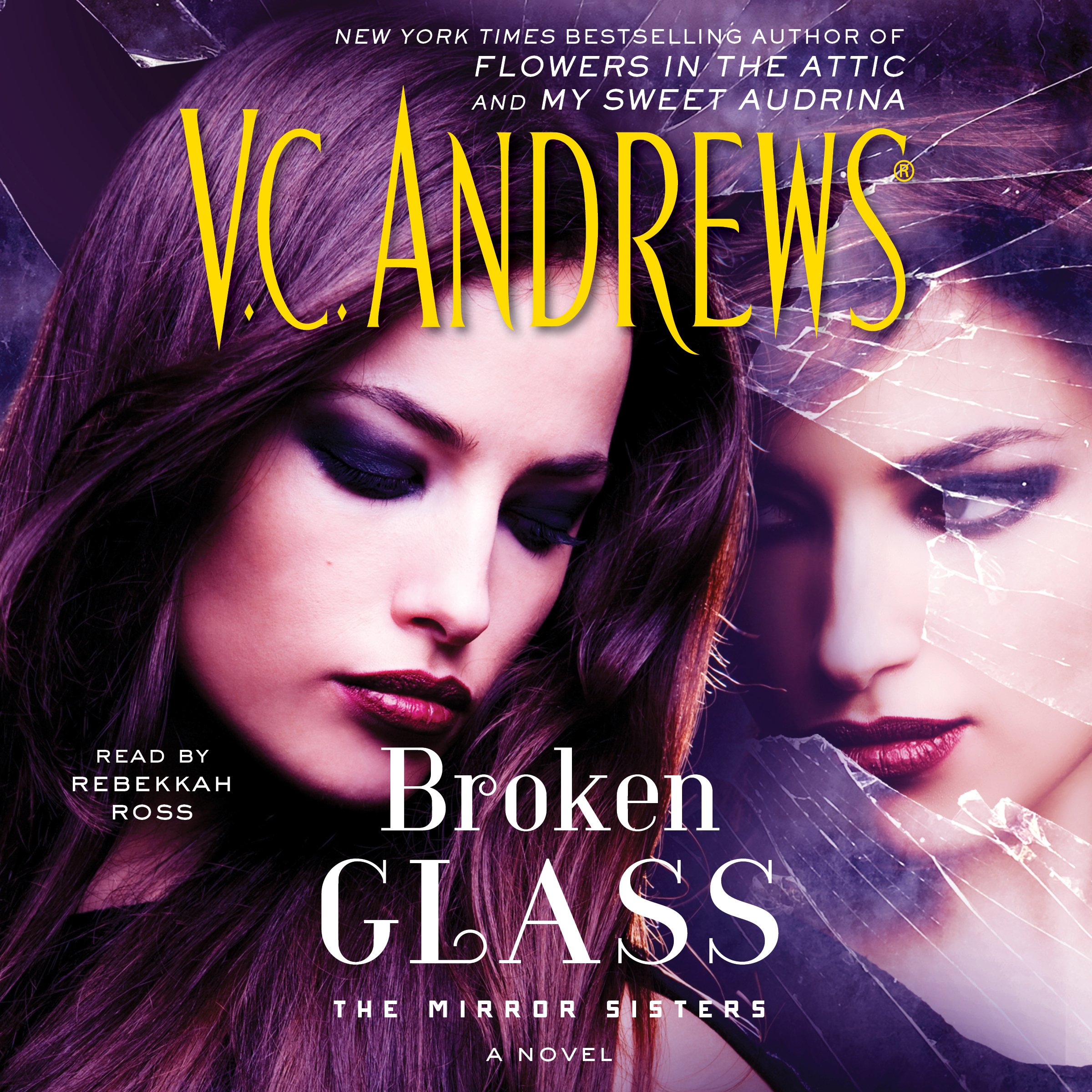 Cover art for Broken Glass