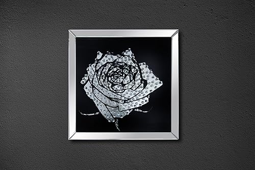 Acme Nevina - Panel de pared con diseño de rosas de cristal de espejo, color negro
