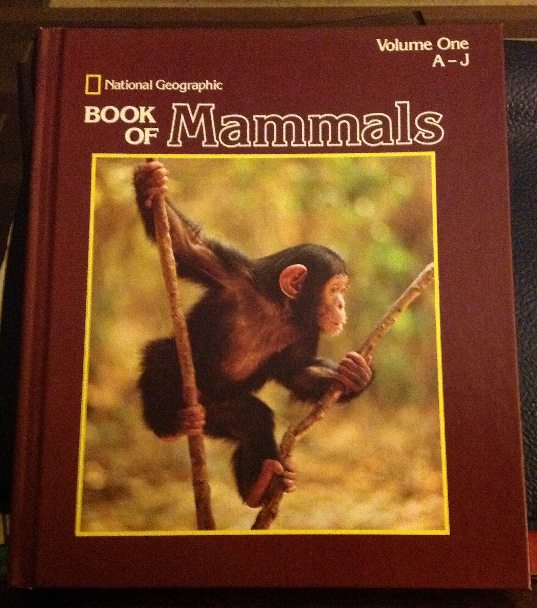 洋書 Hornbill and Dragon 91jI8poKfIL.jpg