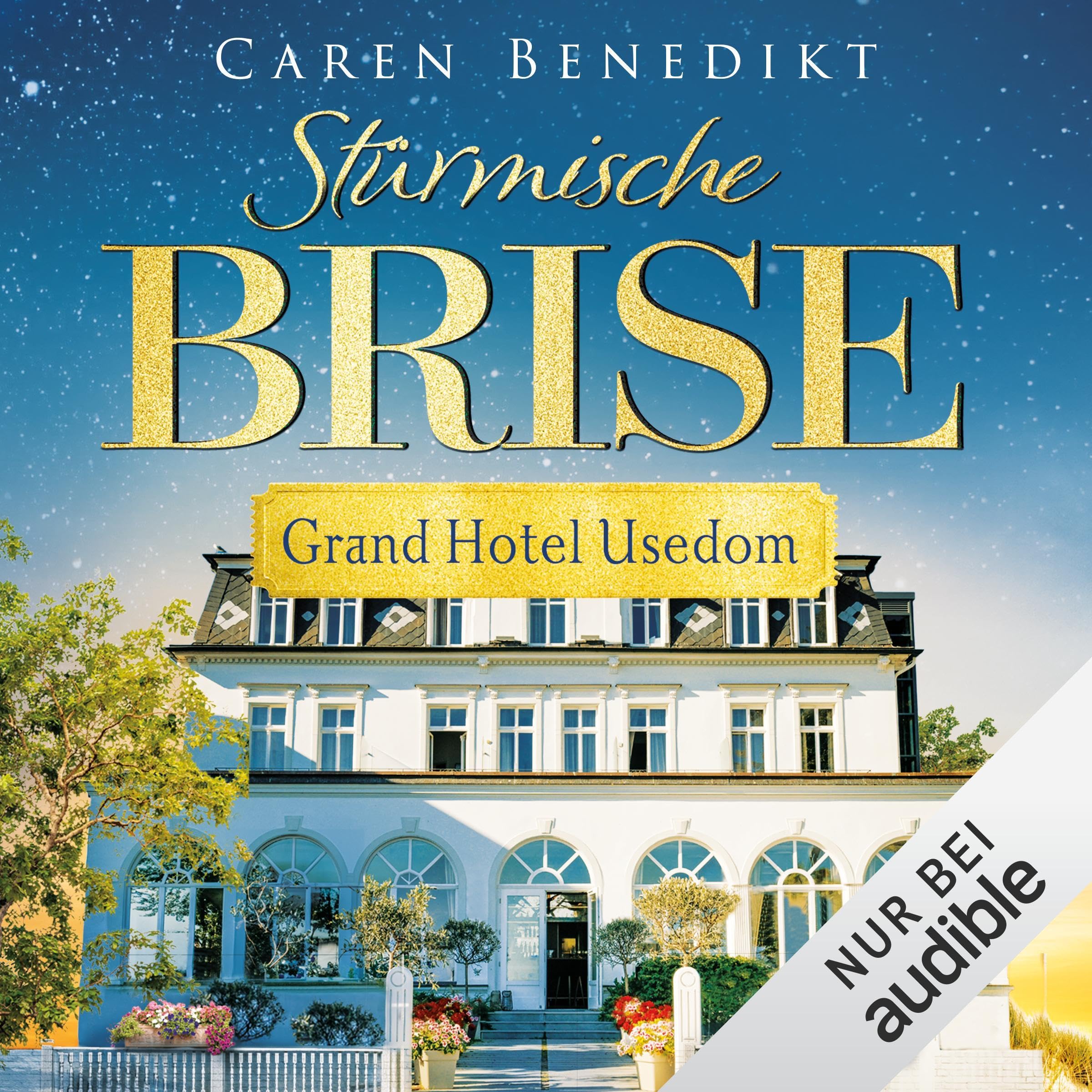 Cover art for Stürmische Brise