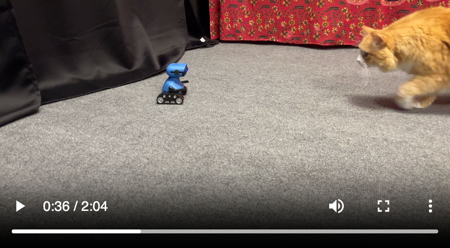 video