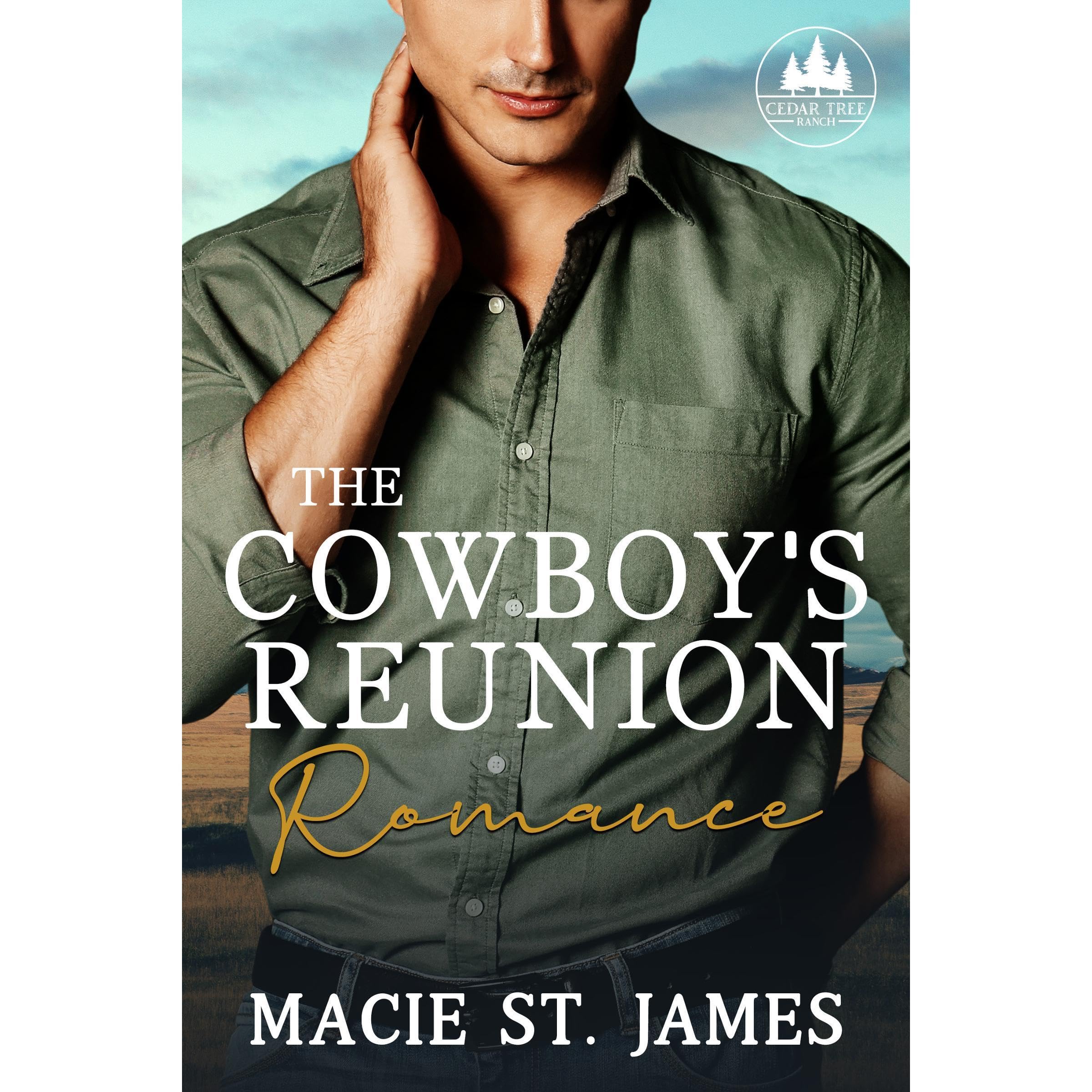 The Cowboy's Reunion Romance