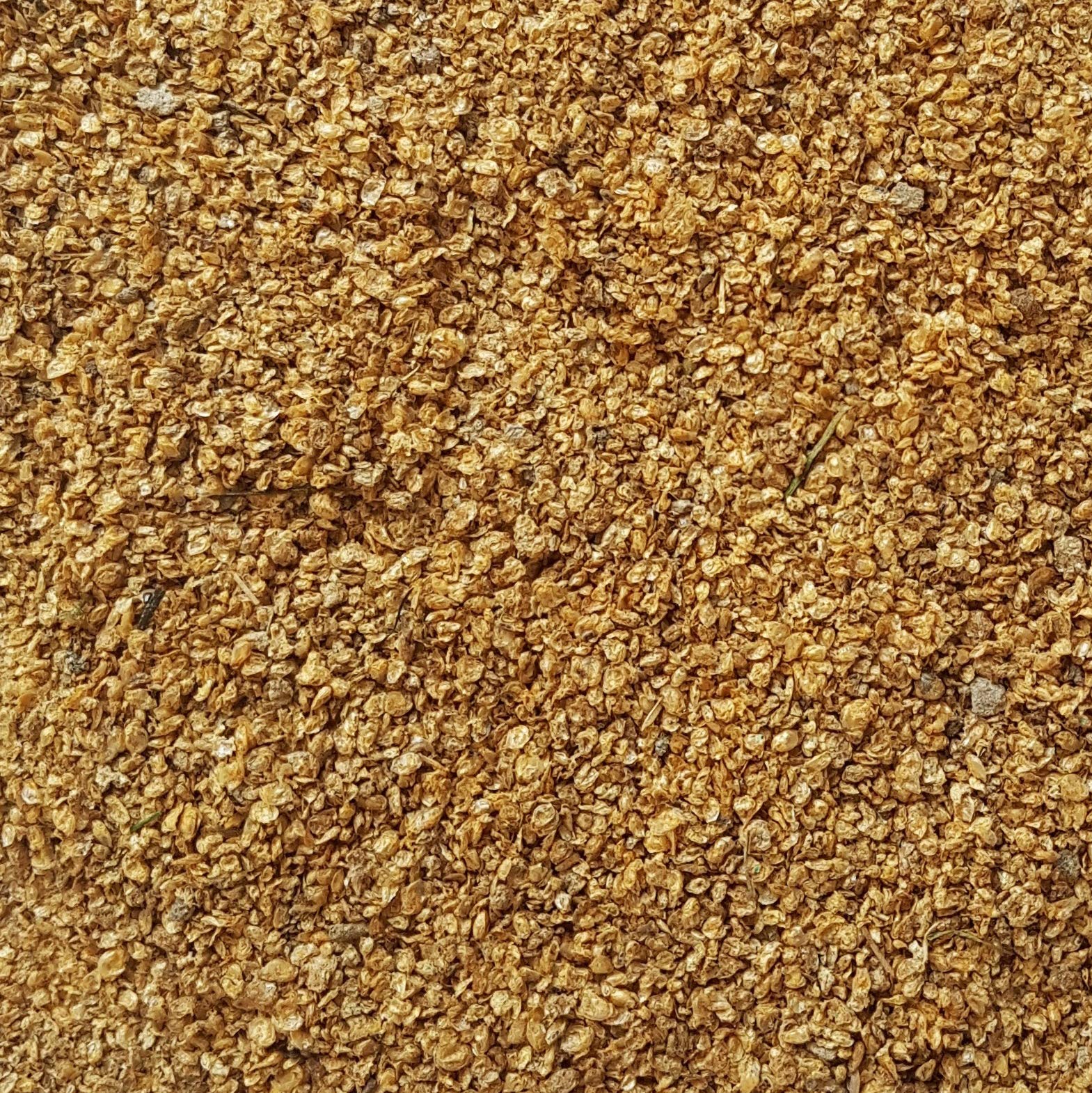 Freeze Dried Daphnia Fish Food - Water Fleas Tropical Coldwater Aquarium Nano (50g)