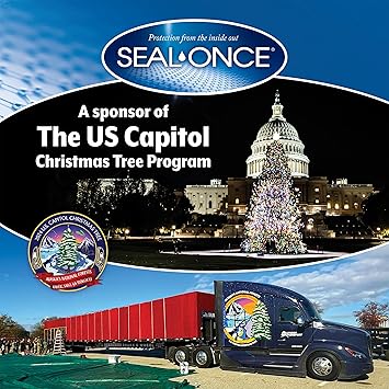 Seal-Once Nano Wood Sealer and Waterproofer, Low-VOC, Clear, 1 Gallon | Premium Clear Wood Waterproof Sealant