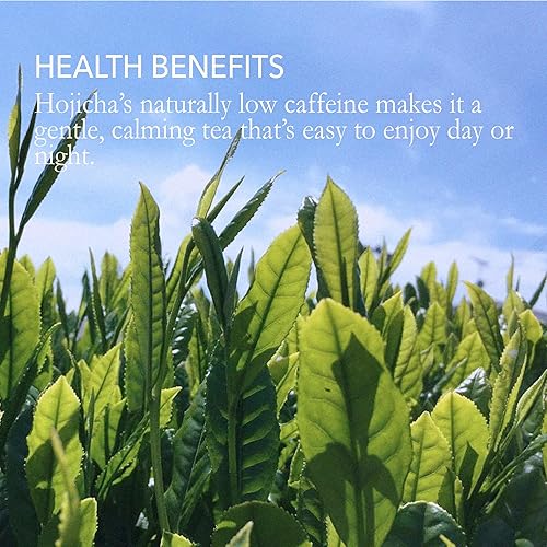 Miniatura 8 de Hojicha Powder - Polvo de té verde tostado japonés  Sabor suave y tostado  Bajo en cafeína  Perfecto para lattes, hornear y postres  Vegano, sin