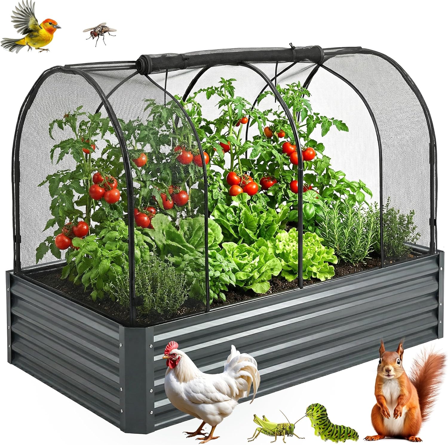 Raised Garden Bed Cover for 6x3 - Premium Black Fiberglass Mesh with Steel Frame for Natural Pest Protection - Dual Zipper Access Crop Cage