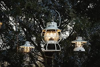 ベアボーンズ エジソンストリングライトLED ヴィンテージホワイト 新品未使用 BAREBONES ベアボーンズ エジソンストリングライトLED