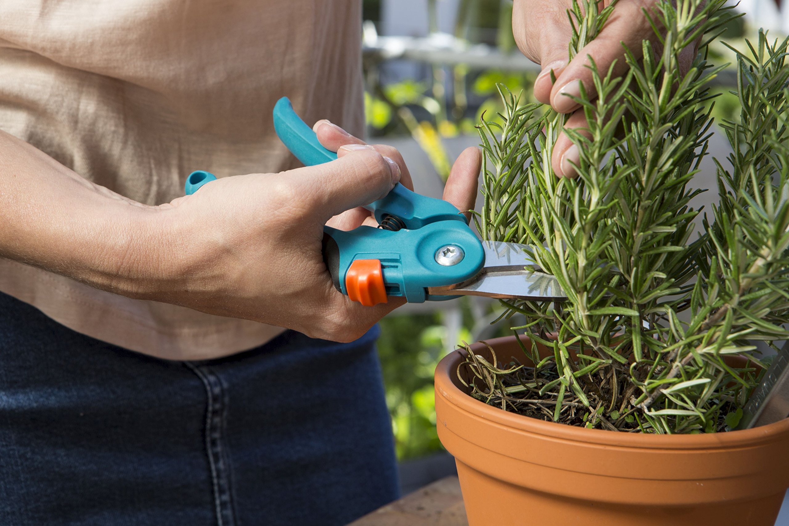 Gardena City Gardening Forbicie per Piante/Fiori/Erbe Aromatiche/Ramoscelli, Lame in Acciaio Inox, Blocco di Sicurezza, 8707-20