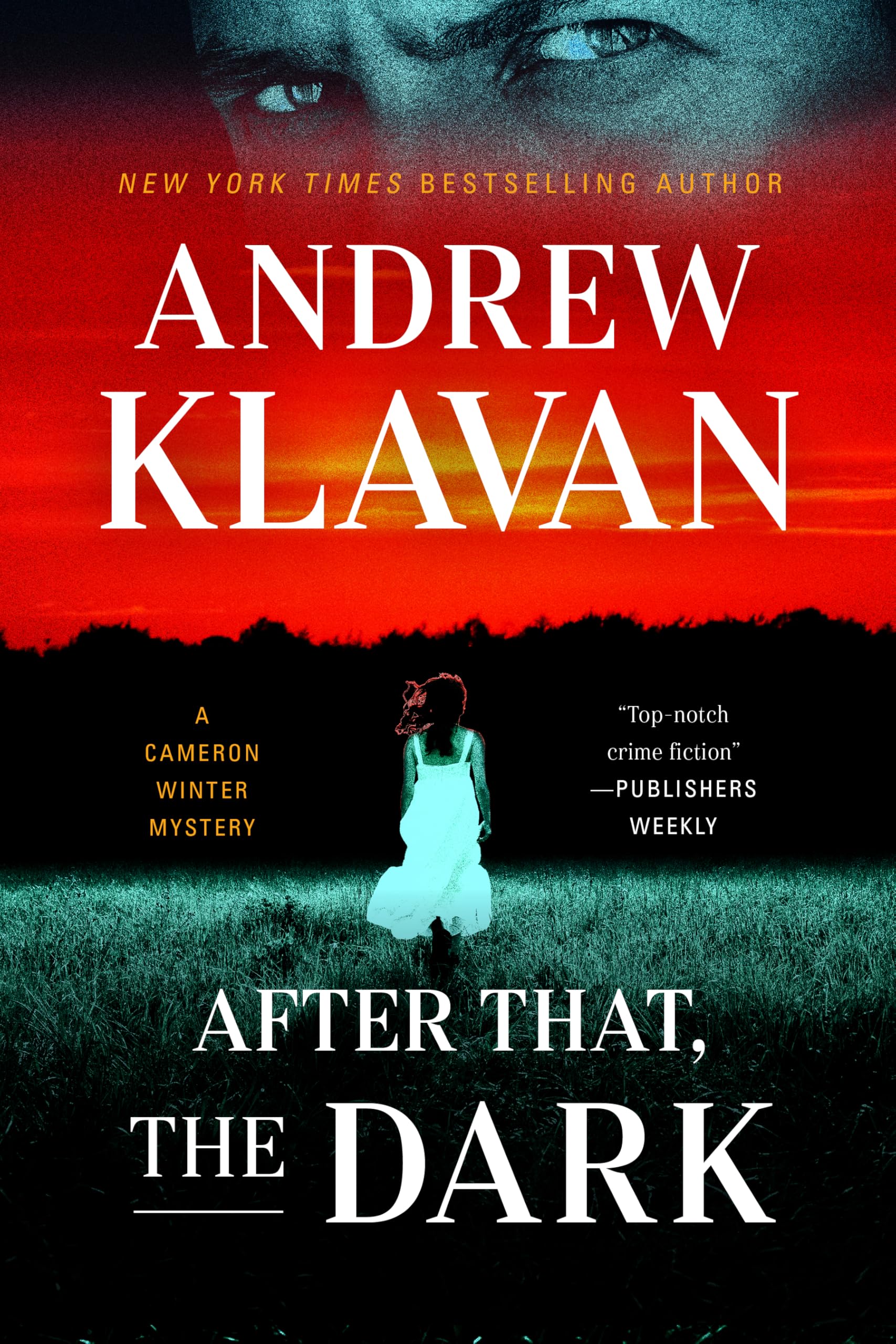 After That, the Dark (Cameron Winter Mysteries Book 5)