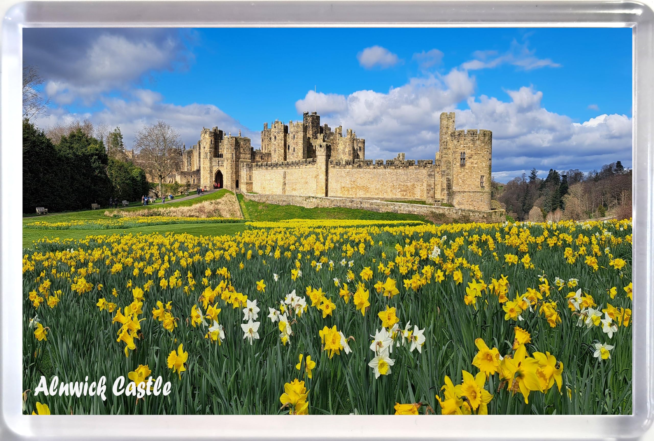 Uk Souvenirs And Gifts Jumbo Alnwick Castle Fridge Magnet Northumberland Souvenir