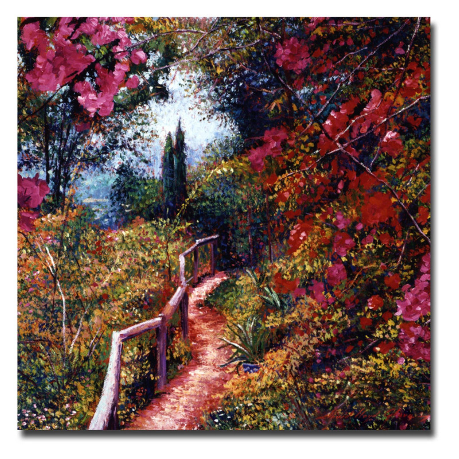 Bougainvillea Trail by David Lloyd Glover, 35x35-Inch Canvas Wall Art