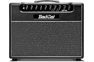 Bad Cat Hot Cat 45: A Feline-Inspired Guitar Amp Purring with Power