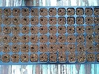 Vista 7 de Excavadora de suelo de 24 agujeros y espaciador de semillas para plantar semillas Nueva herramienta de jardín, regalo para jardinero