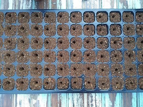 Miniatura 7 de Excavadora de suelo de 24 agujeros y espaciador de semillas para plantar semillas  Nueva herramienta de jardín, regalo para jardinero