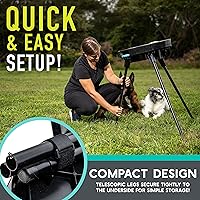 Vista 5 de Franklin Pet Supply Co. - Lanzador automático de discos para perros - Ready Set Fetch - Juguete lanzador portátil para perros - Funciona