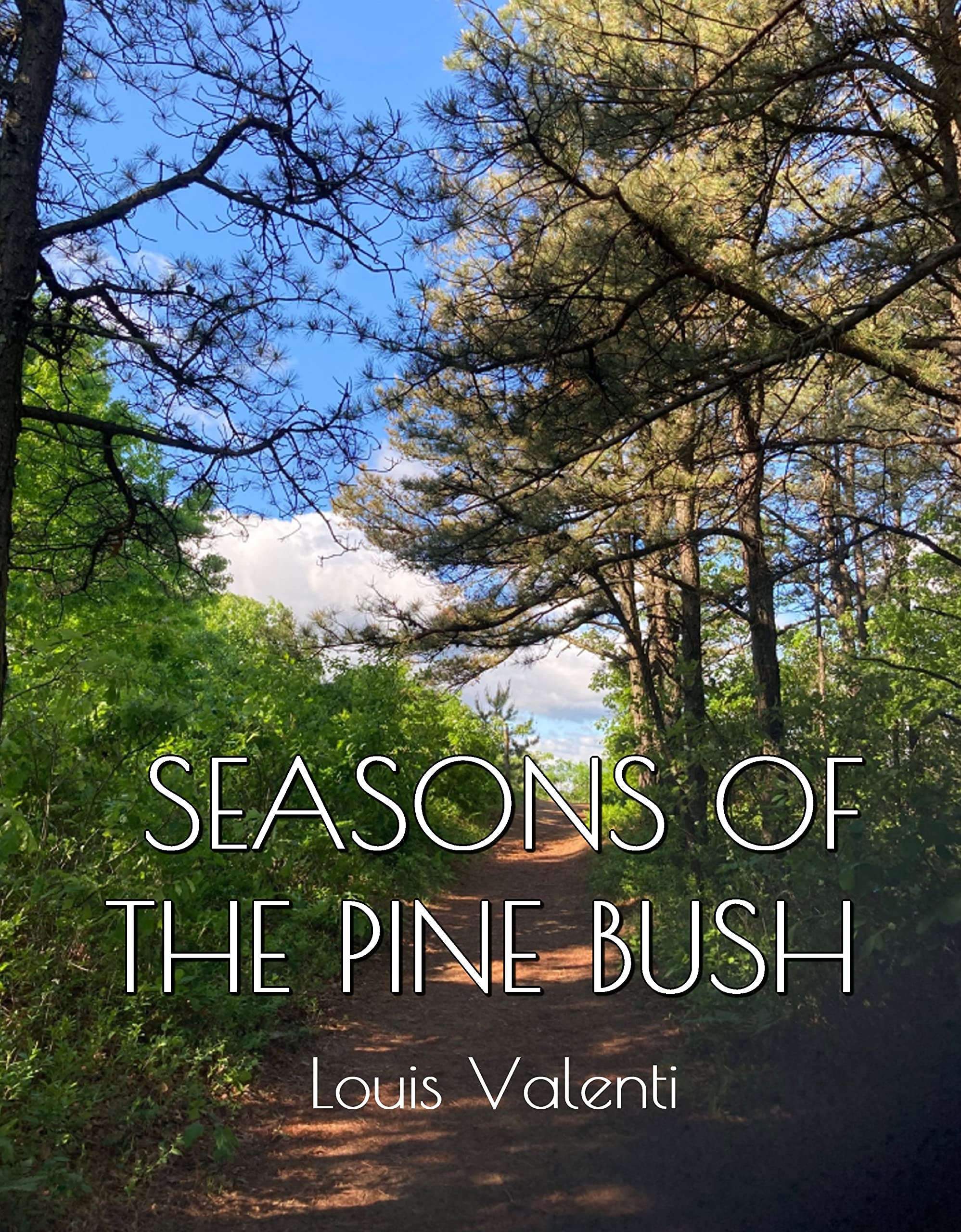 Seasons of the Pine Bush pour comprendre les cycles de la biodiversité