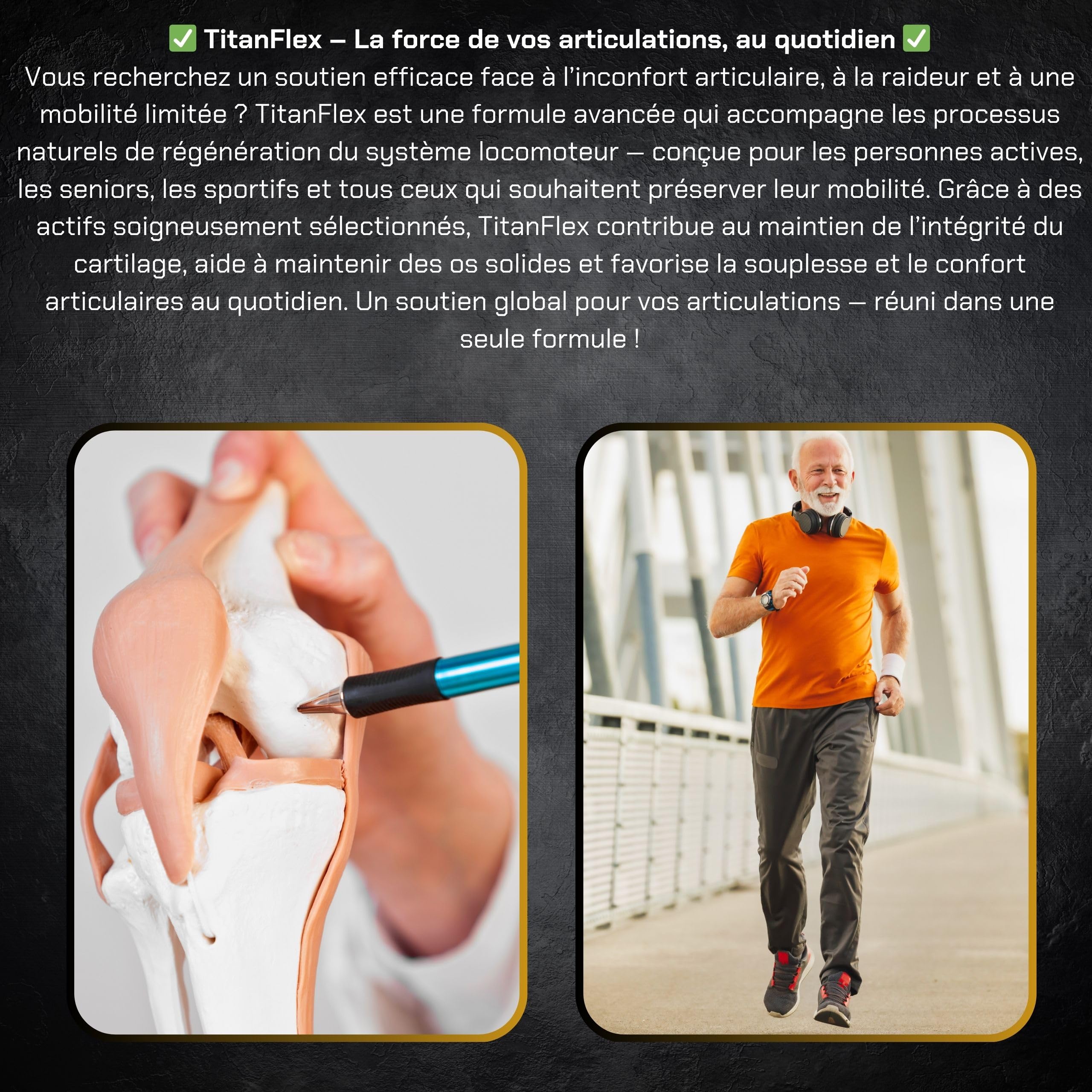 Collagène pour les ARTICULATIONS – Glucosamine, Chondroïtine, Soufre organique (MSM) FLEX